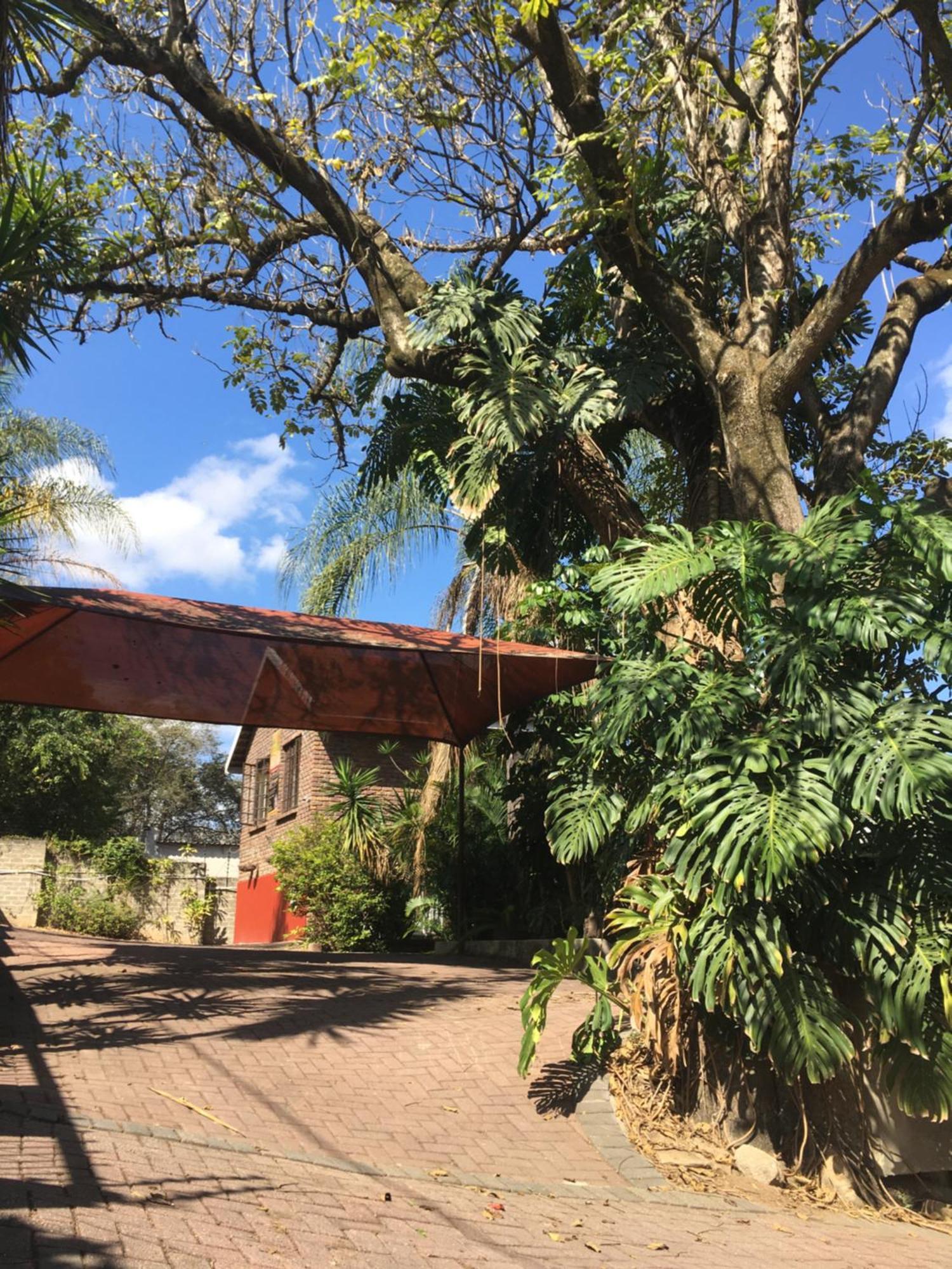 Old Vic Travellers Inn Nelspruit Νέλσπρουιτ Εξωτερικό φωτογραφία